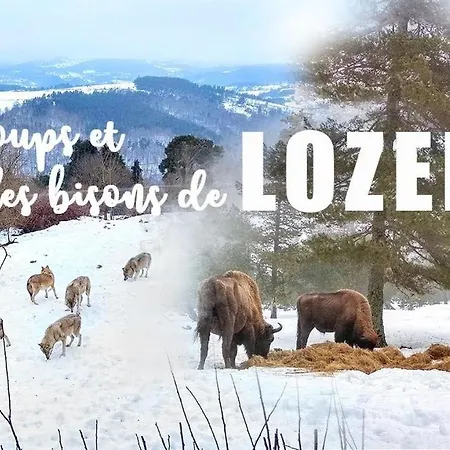 Holiday home Le Loft Barjac (Lozere)